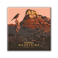 Guadalupe Mountains NP Early Bird Square Magnet