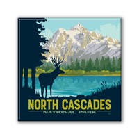 North Cascades NP Mule Deer Square Magnet