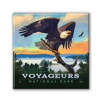 Voyageurs NP Bald Eagle Square Magnet