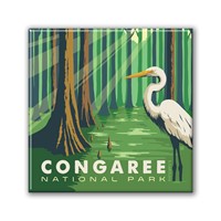 Congaree NP Great Egret Square Magnet