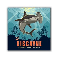 Biscayne NP Hammerhead Shark Square Magnet